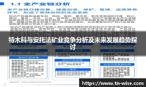 特木科与安托法矿业竞争分析及未来发展趋势探讨
